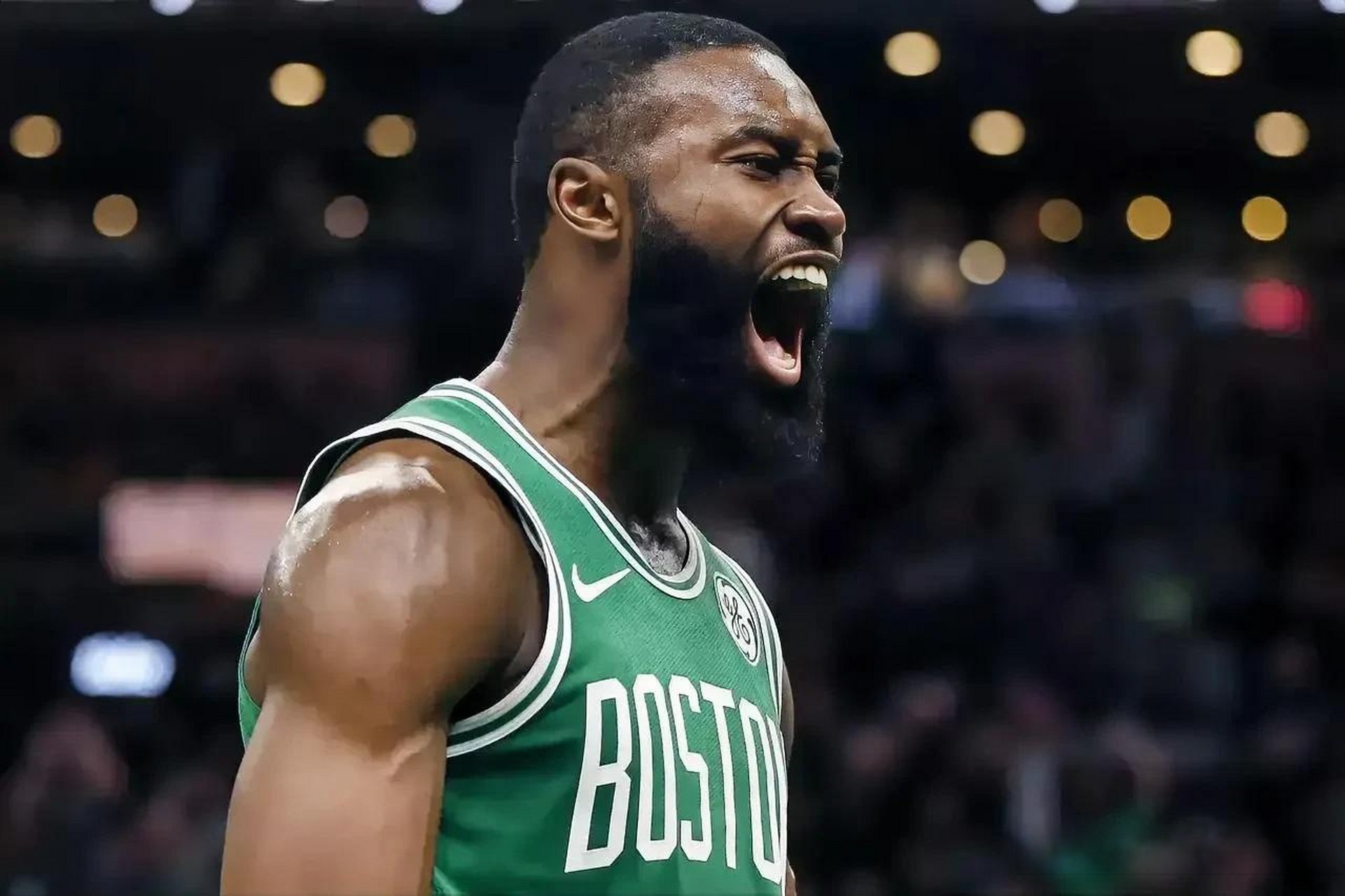 对付他的反 对付他的反